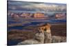 Alstrom Point Page, Arizona, USA, Lake Powell-John Ford-Stretched Canvas