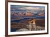 Alstrom Point Page, Arizona, USA, Lake Powell-John Ford-Framed Photographic Print