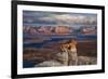 Alstrom Point Page, Arizona, USA, Lake Powell-John Ford-Framed Photographic Print