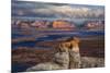 Alstrom Point Page, Arizona, USA, Lake Powell-John Ford-Mounted Photographic Print