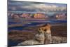 Alstrom Point Page, Arizona, USA, Lake Powell-John Ford-Mounted Photographic Print