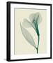 Alstromeria II-Steven N^ Meyers-Framed Art Print