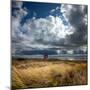 Alt Estuary on the Sefton Coast-Dave Mcaleavy Images-Mounted Photographic Print