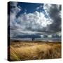 Alt Estuary on the Sefton Coast-Dave Mcaleavy Images-Stretched Canvas
