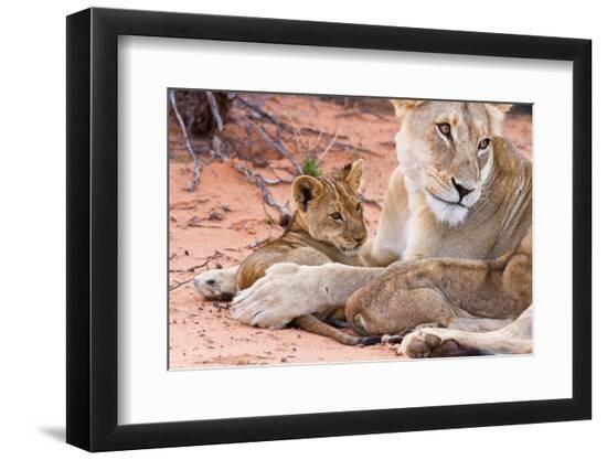 Premium Photographic Print, , large