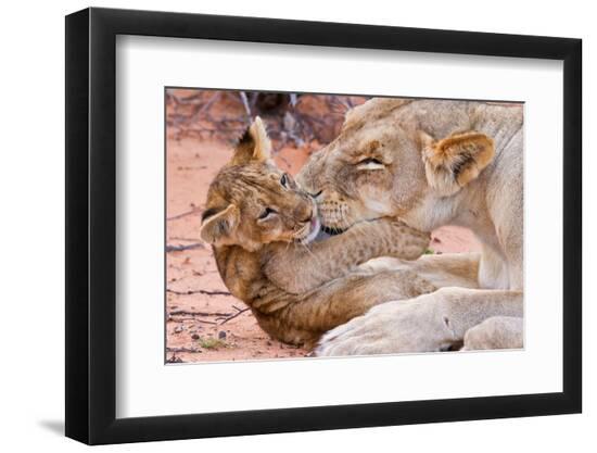 Premium Photographic Print, , large