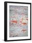 Alta Rock Art, UNESCO World Heritage Site, Alta, Finnmark, Norway, Scandinavia, Europe-Doug Pearson-Framed Photographic Print