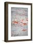 Alta Rock Art, UNESCO World Heritage Site, Alta, Finnmark, Norway, Scandinavia, Europe-Doug Pearson-Framed Photographic Print