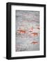 Alta Rock Art, UNESCO World Heritage Site, Alta, Finnmark, Norway, Scandinavia, Europe-Doug Pearson-Framed Photographic Print