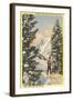 Alta Ski Resort, Salt Lake City, Utah-null-Framed Art Print