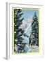 Alta, Utah, Downhill Skier About to Descend-Lantern Press-Framed Art Print