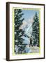 Alta, Utah, Downhill Skier About to Descend-Lantern Press-Framed Art Print