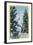 Alta, Utah, Downhill Skier About to Descend-Lantern Press-Framed Art Print