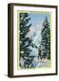 Alta, Utah, Downhill Skier About to Descend-Lantern Press-Framed Art Print