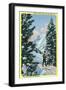 Alta, Utah, Downhill Skier About to Descend-Lantern Press-Framed Art Print