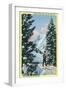 Alta, Utah, Downhill Skier About to Descend-Lantern Press-Framed Art Print