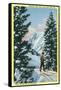 Alta, Utah, Downhill Skier About to Descend-Lantern Press-Framed Stretched Canvas