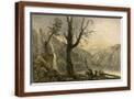 Brown Frame