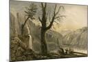 Wood Mount