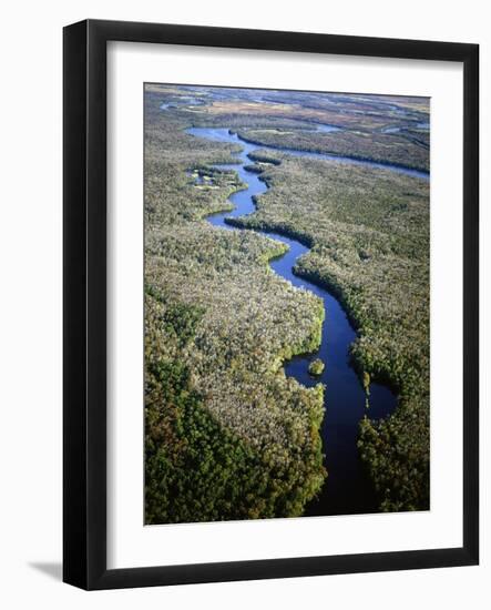 Altamaha River-James Randklev-Framed Photographic Print