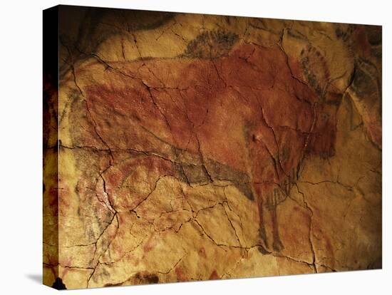 Altamira Cave Painting of a Bison-Javier Trueba-Stretched Canvas