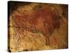 Altamira Cave Painting of a Bison-Javier Trueba-Stretched Canvas