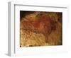 Altamira Cave Painting of a Bison-Javier Trueba-Framed Premium Photographic Print