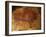 Altamira Cave Painting of a Bison-Javier Trueba-Framed Photographic Print