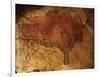 Altamira Cave Painting of a Bison-Javier Trueba-Framed Photographic Print