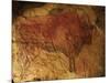 Altamira Cave Painting of a Bison-Javier Trueba-Mounted Photographic Print