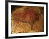 Altamira Cave Painting of a Bison-Javier Trueba-Framed Photographic Print