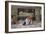 Altar Boys in a Church Interior-Jose Villegas Y Cordero-Framed Giclee Print