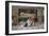 Altar Boys in a Church Interior-Jose Villegas Y Cordero-Framed Giclee Print