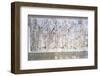 Altar of Augustan Peace (Ara Pacis Augustae)-null-Framed Photographic Print