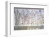 Altar of Augustan Peace (Ara Pacis Augustae)-null-Framed Photographic Print