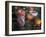 Altar Offering Decorated with Flowers, Fruit and a Candle for Day of the Dead, Oaxaca, Mexico-Judith Haden-Framed Photographic Print