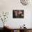 Altar Offering Decorated with Flowers, Fruit and a Candle for Day of the Dead, Oaxaca, Mexico-Judith Haden-Photographic Print displayed on a wall