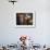 Altar Offering Decorated with Flowers, Fruit and a Candle for Day of the Dead, Oaxaca, Mexico-Judith Haden-Framed Photographic Print displayed on a wall