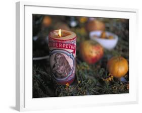 Altar Offering Decorated with Flowers, Fruit and a Candle for Day of the Dead, Oaxaca, Mexico-Judith Haden-Framed Photographic Print