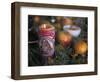 Altar Offering Decorated with Flowers, Fruit and a Candle for Day of the Dead, Oaxaca, Mexico-Judith Haden-Framed Photographic Print