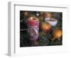 Altar Offering Decorated with Flowers, Fruit and a Candle for Day of the Dead, Oaxaca, Mexico-Judith Haden-Framed Photographic Print