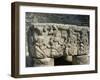 Altar Q, West Court, Copan Archaeological Park, Copan, UNESCO World Heritage Site, Honduras-null-Framed Photographic Print