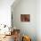 Altar with Candles, Flowers, and Spiritual Imagery for the Day of the Dead Celebration, Mexico-Judith Haden-Photographic Print displayed on a wall