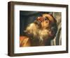Altarpiece Depicting the Martyrdom of St Sebastian, 1558-Paolo Veronese-Framed Giclee Print