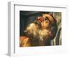 Altarpiece Depicting the Martyrdom of St Sebastian, 1558-Paolo Veronese-Framed Giclee Print