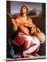 Altarpiece of St Agnes-null-Mounted Giclee Print