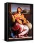 Altarpiece of St. Agnes-Andrea del Sarto-Framed Stretched Canvas