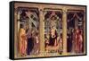 Altarpiece of St. Zeno of Verona, 1456-60-Andrea Mantegna-Framed Stretched Canvas