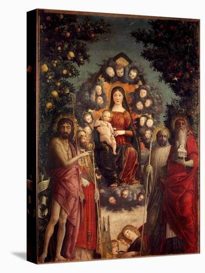 Altarpiece Trivulzio: the Holy Conversation. the Virgin and Christ, Surrounded by St.John the Bapti-Andrea Mantegna-Stretched Canvas