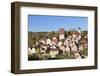 Altensteig, Black Forest, Baden Wurttemberg, Germany, Europe-Markus Lange-Framed Photographic Print